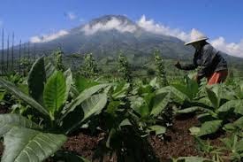 Potensi Sumber Daya Alam Di Benua Asia – Catatan Penting